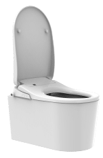 InteliWash with toilet-1