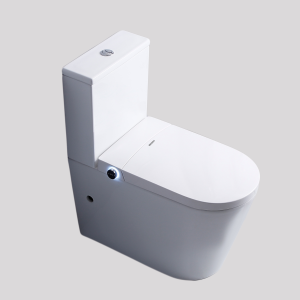 Throne Smart Bidet Toilet Suite White